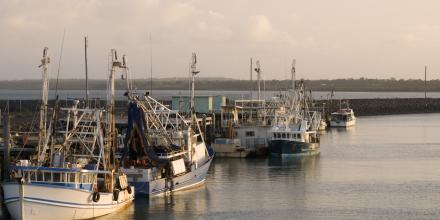 Fishing boats docked at marina