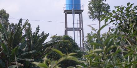 Trees with blue water tower behind