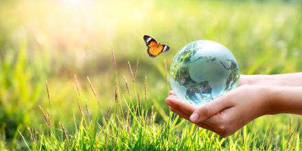 Hand holding world globe over grass with butterfly nearby