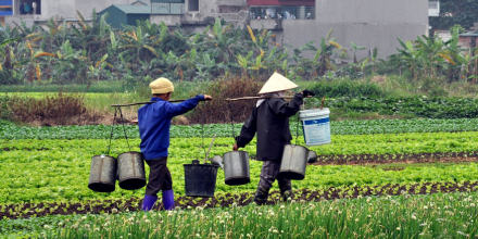 Workers walking through a diverse agricultural field