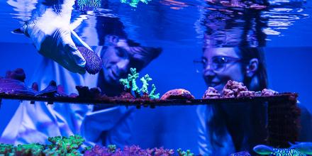 David Suggett and Emma Camp in the coral lab