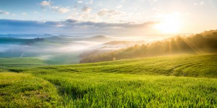 Green field and sunrise