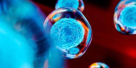 Embryonic stem cells and cellular therapy in red and blue tones