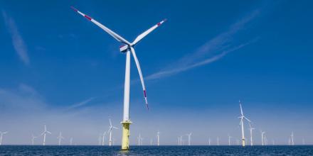 A wind turbine farm in the ocean