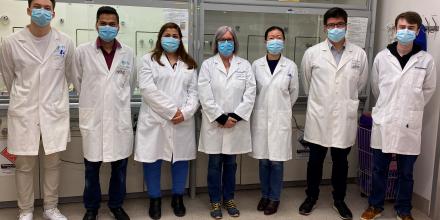 The iThree Institute research team