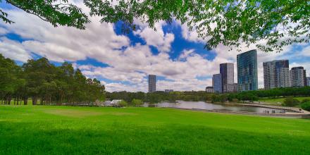 An urban park with green grass in the foreground, water and tall buildings in the background