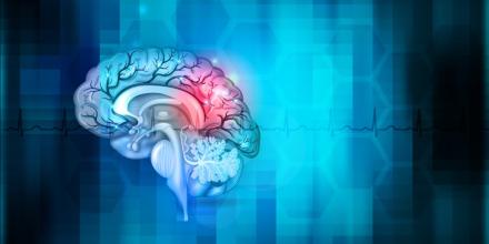 Illustration of human brain on blue background