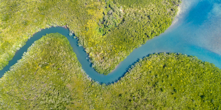 Winding river