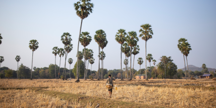 Boy walking through a plain