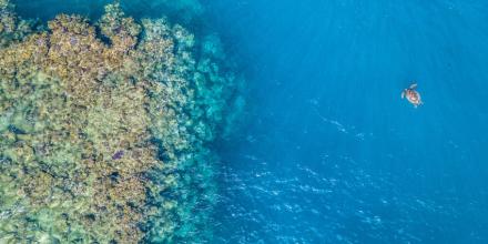 stock image of Pacific Islands landscape