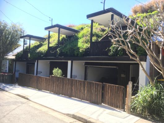 Three Sydney terrace houses with green rooftops