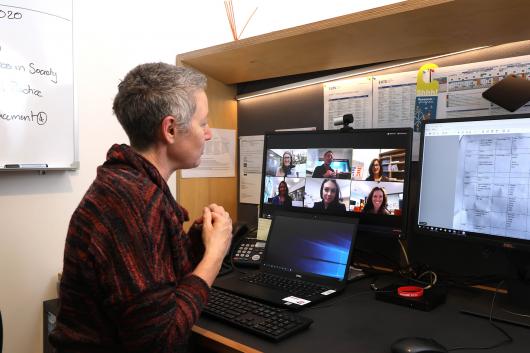 Woman at computer screen, GSH genetic counselling - why genetic counselling