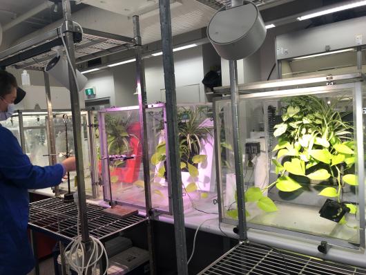 UTS lab plant testing