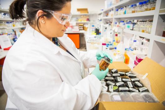 Nural Cokcetin working in a lab