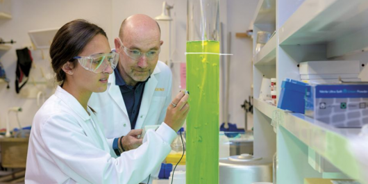 Lecture with student looking at algae.