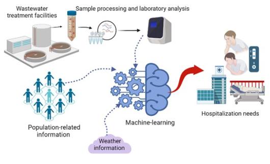 prediction tool for COVID wastewater sampling