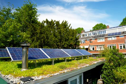 Green roof with solar