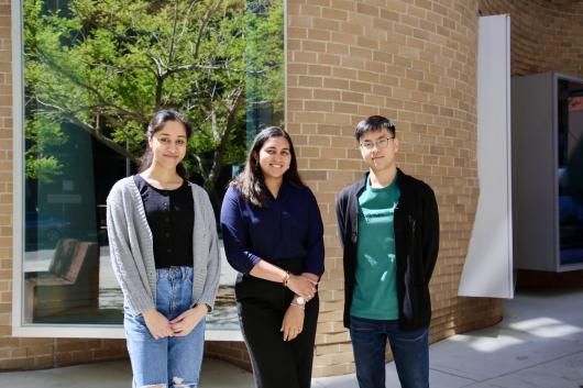 UTS students and alumni choosing dynamic startup internships as a career path.