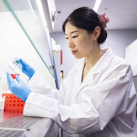 Dr Jiao Jiao Li in the lab