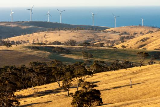 Wind Farm. Adobe Stock