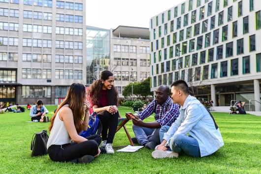 a group of students sit on the lawn, university buildings in the background