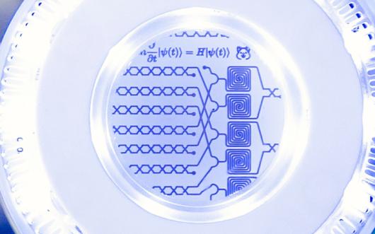 Close up of the underside of the Quokka quantum computer emulatior