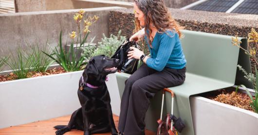 A black labrador is sitting down next to a woman who wears a blue cardigan and black pants.