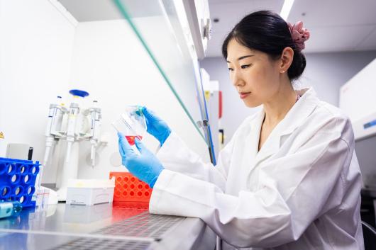 Dr Jiao Jiao Li in the laboratory. 