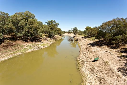 The Darling river at Tilpa in far western NSW. Picture by Downunderphoto/Adobe Stock