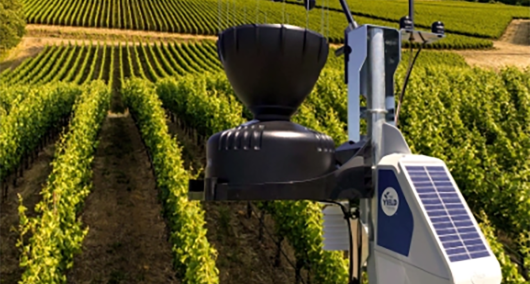 Photo of a Yield sensor in vineyard