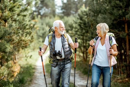 Retirees hiking in the woods. Adobe Stock