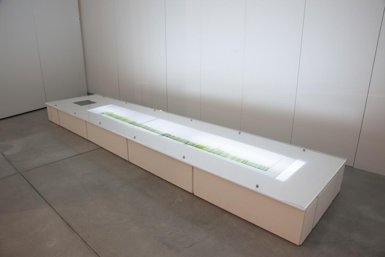 DAB Staff Project: Digital Materiality: New Directions in Graphic Design, by Aaron Seymour