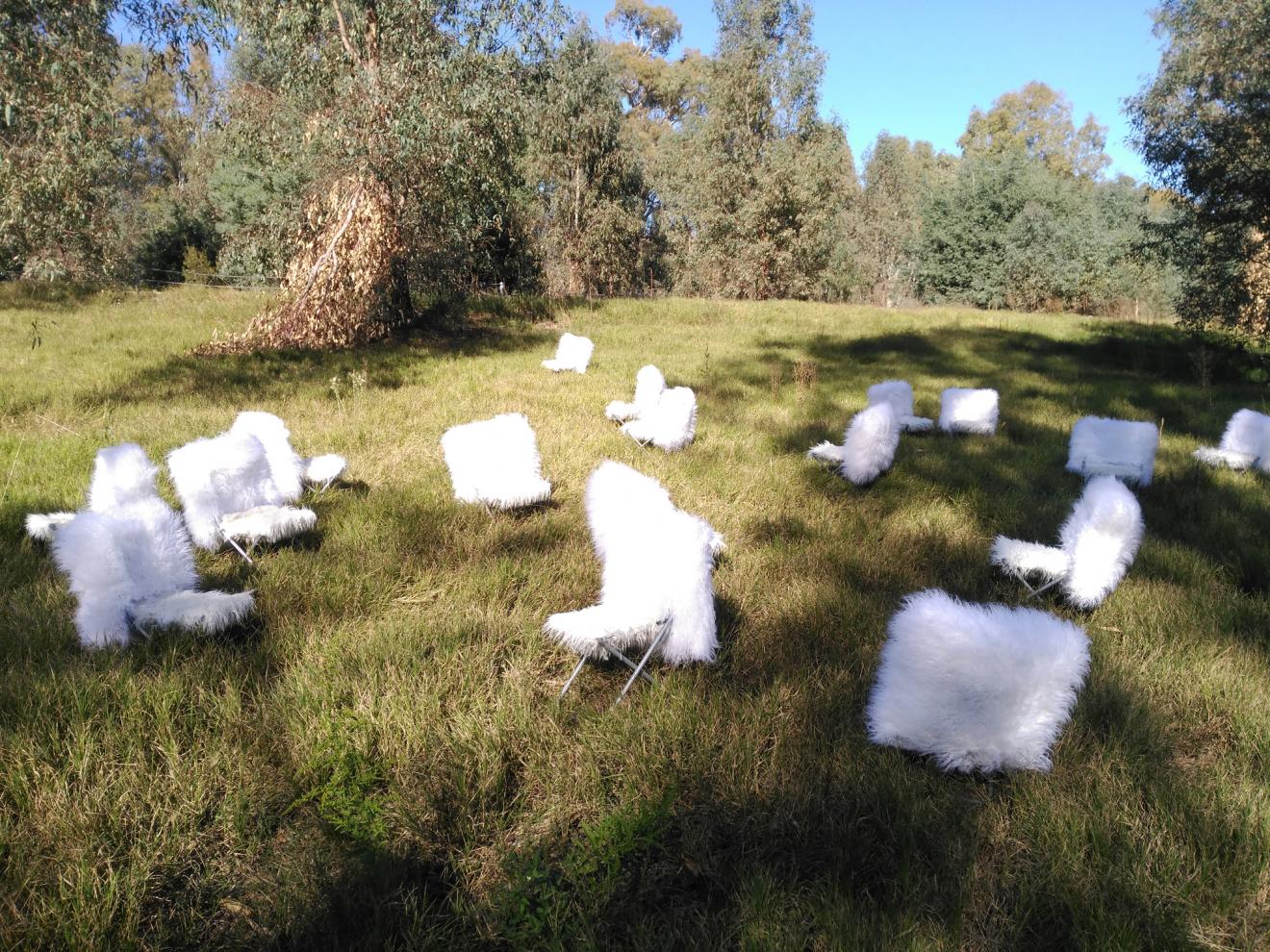 DAB Staff Project: Pelusillas