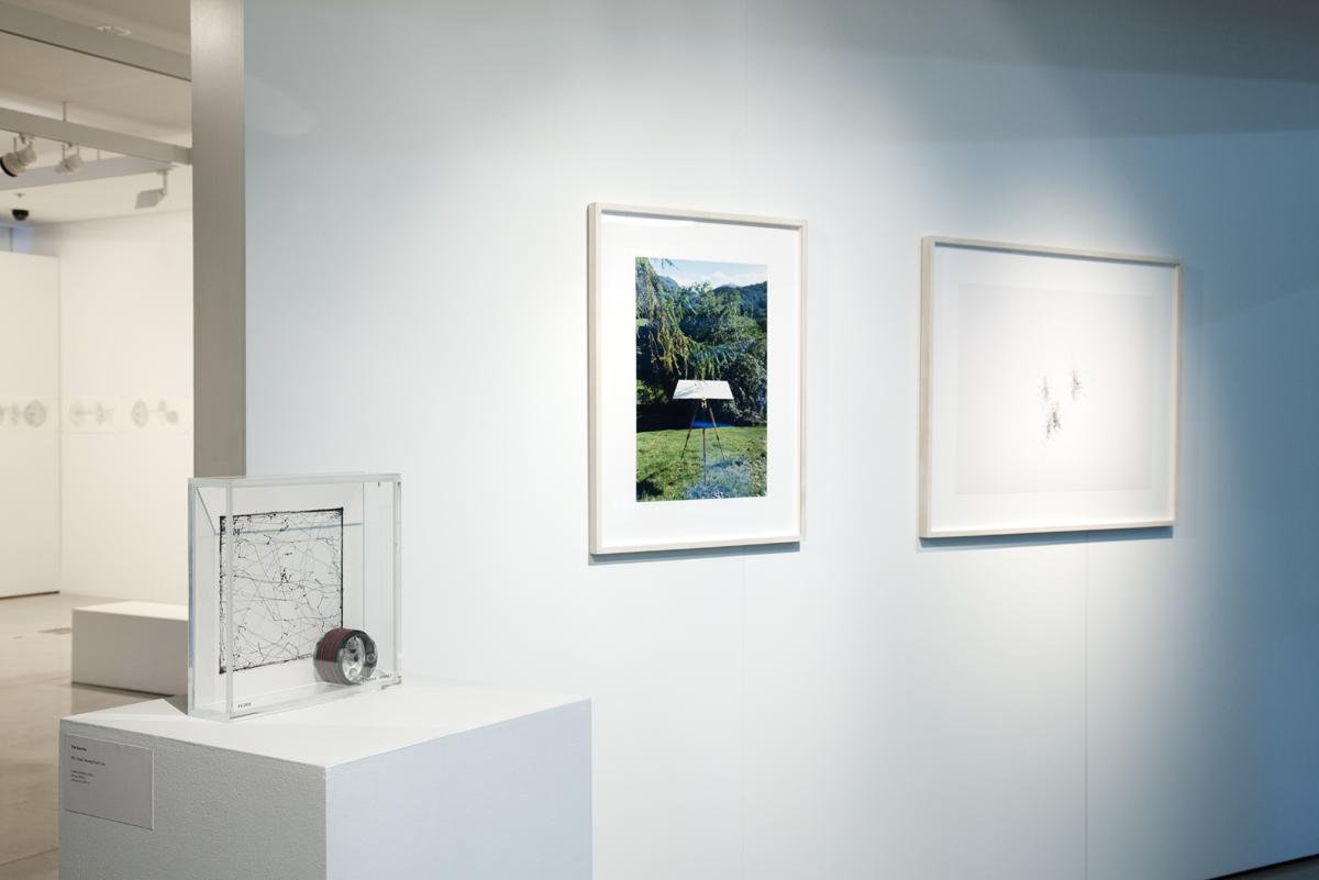 DAB Staff Project: Incidental Data, by Kate Sweetapple
