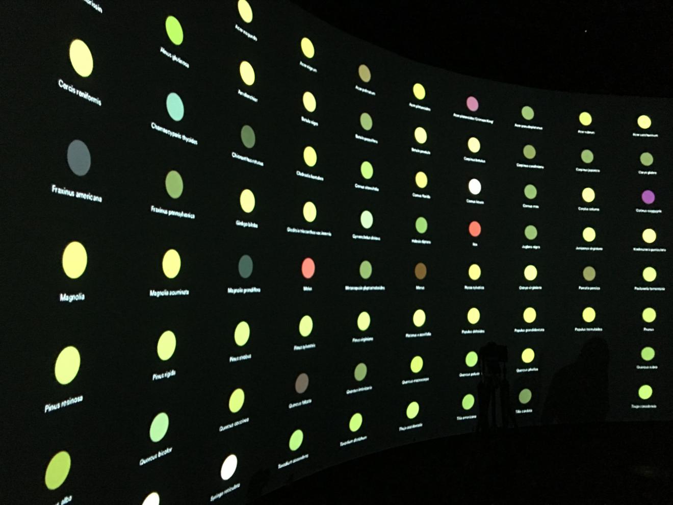 DAB Student Project: New York In_ and 23413 Quakes in 24hrs, by Hayley Cummings & Anna Nordon