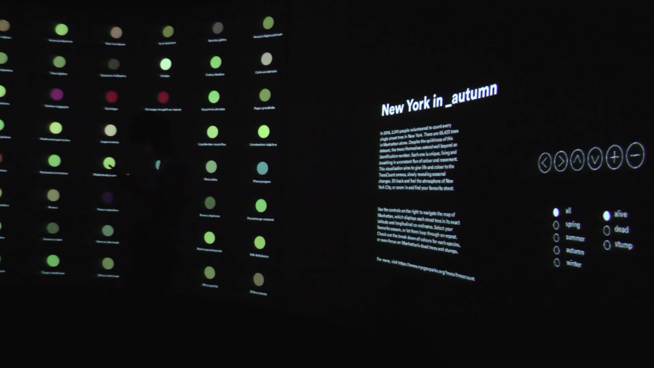 DAB Student Project: New York In_ and 23413 Quakes in 24hrs, by Hayley Cummings & Anna Nordon