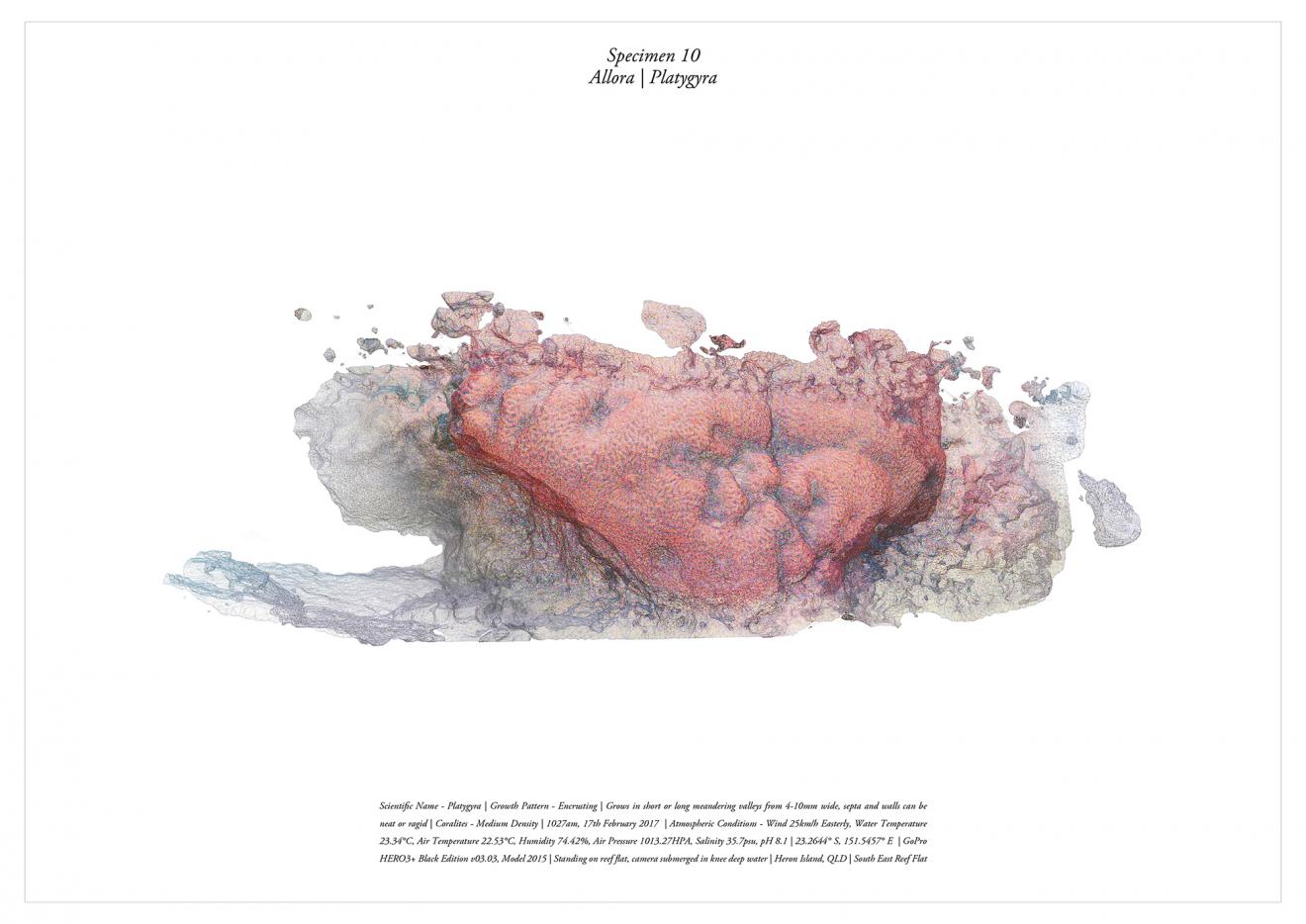 DAB Student Project: Great Barrier Reef Expedition, by Francesca Capicchioni, David Cordato, Charles Curtin, Jesse Del Valle, Ben Feher, Miguel Luis Gilarte, Isaac Harrisson, Adam Hoh, Matthew Nicholson & Callum Woo
