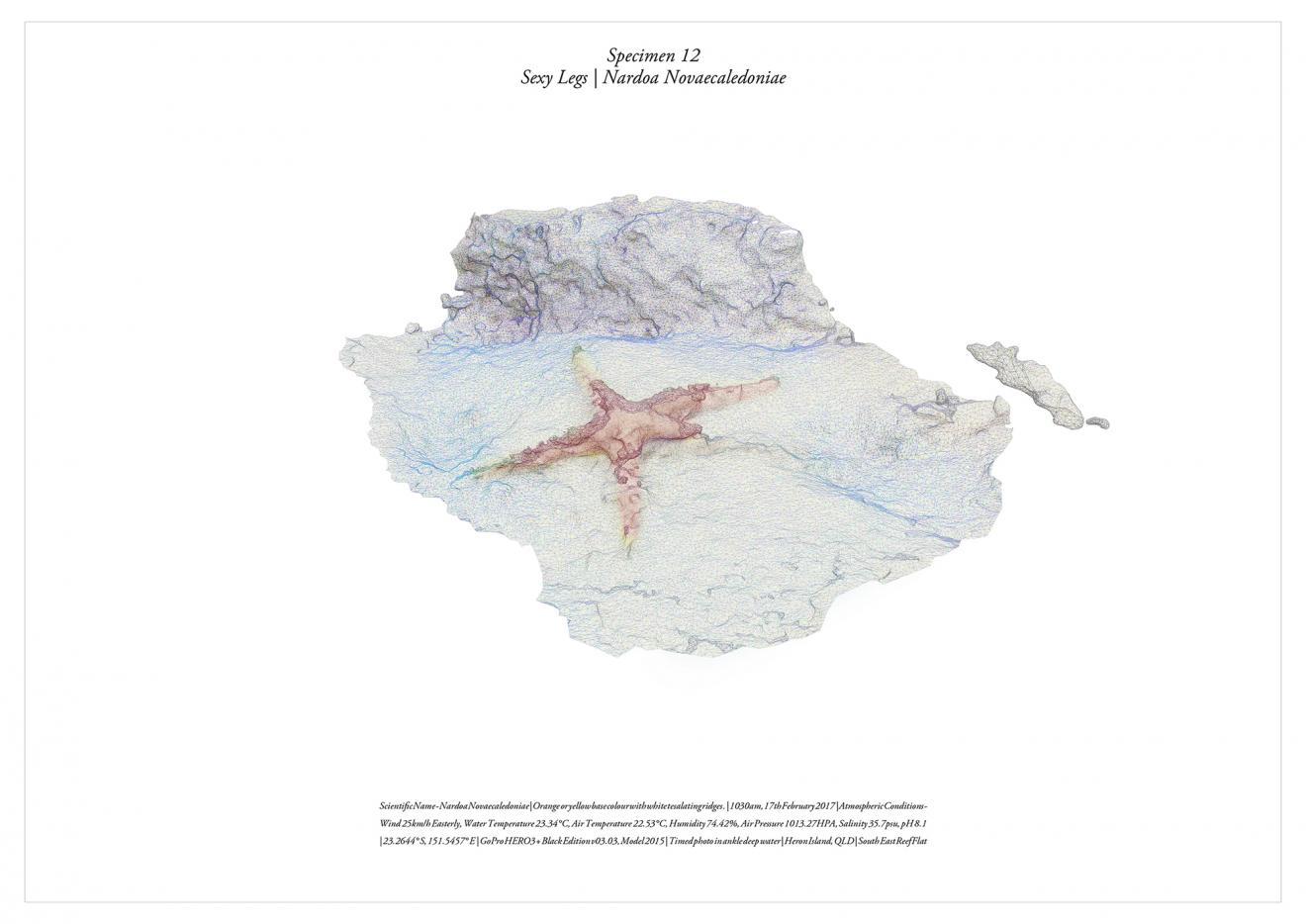 DAB Student Project: Great Barrier Reef Expedition, by Francesca Capicchioni, David Cordato, Charles Curtin, Jesse Del Valle, Ben Feher, Miguel Luis Gilarte, Isaac Harrisson, Adam Hoh, Matthew Nicholson & Callum Woo