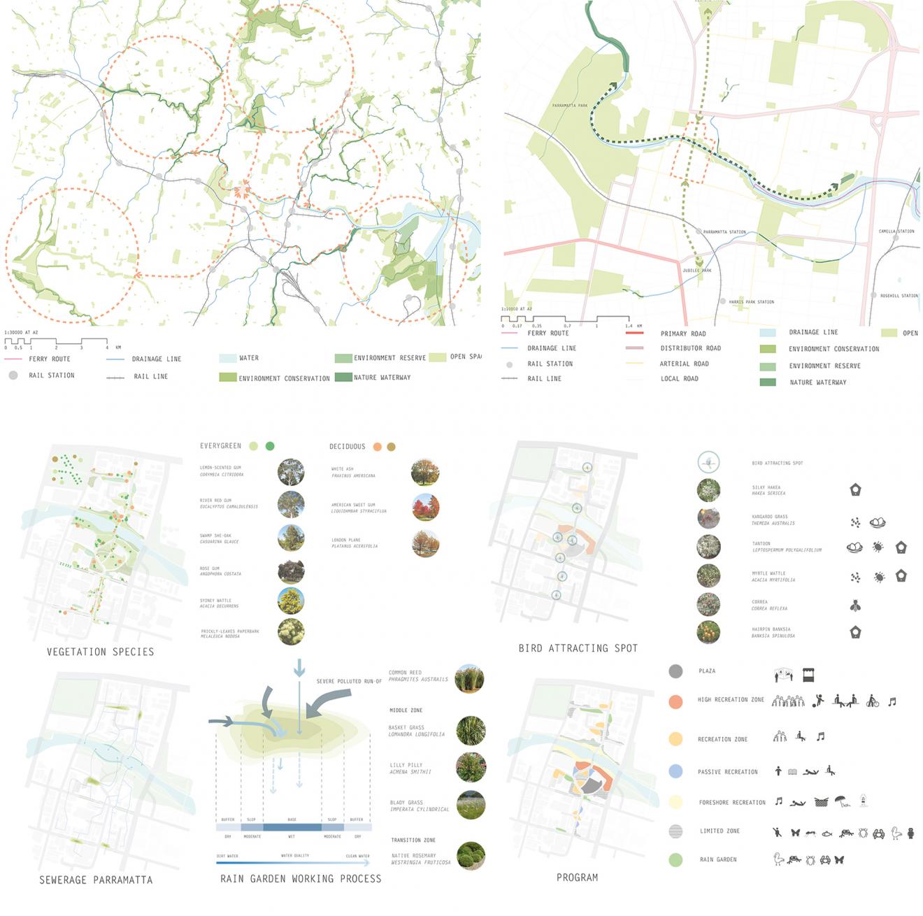 DAB Student Project: Giving Ecology Primacy, by Ao Zhou