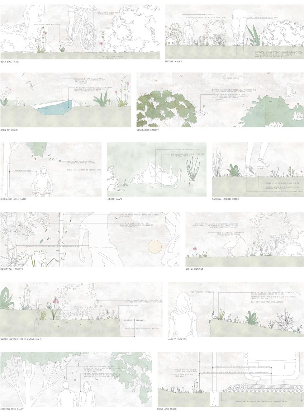 DAB Student Project: Wandering Ecologies: Anthropochory as a Method of Restoration; Seed Dispersal in the Urban Landscape, by Brittany Johnston
