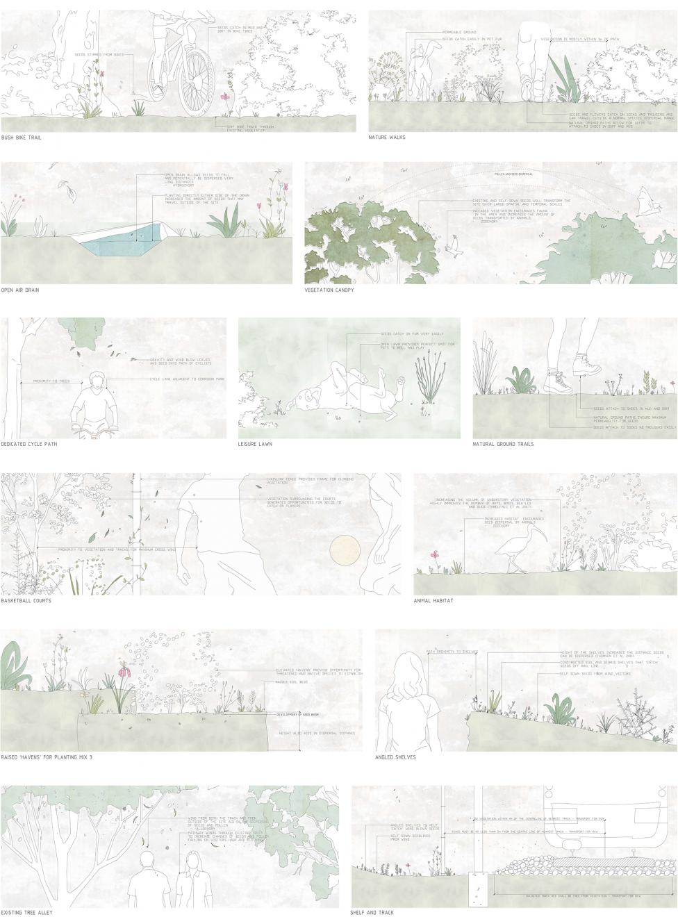 DAB Student Project: Wandering Ecologies: Anthropochory as a Method of Restoration; Seed Dispersal in the Urban Landscape, by Brittany Johnston