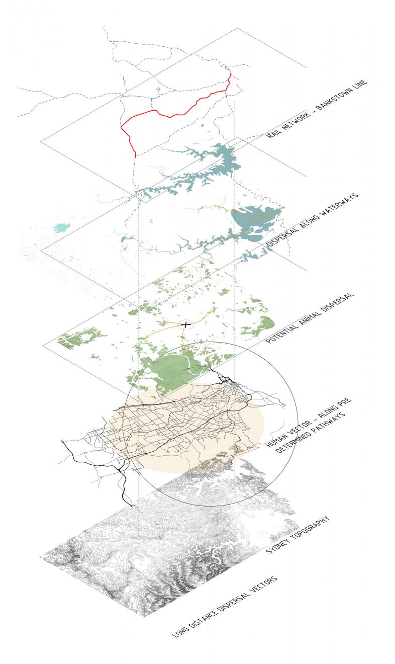 DAB Student Project: Wandering Ecologies: Anthropochory as a Method of Restoration; Seed Dispersal in the Urban Landscape, by Brittany Johnston