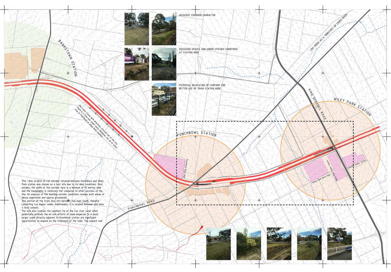 DAB Student Project: Wandering Ecologies: Anthropochory as a Method of Restoration; Seed Dispersal in the Urban Landscape, by Brittany Johnston