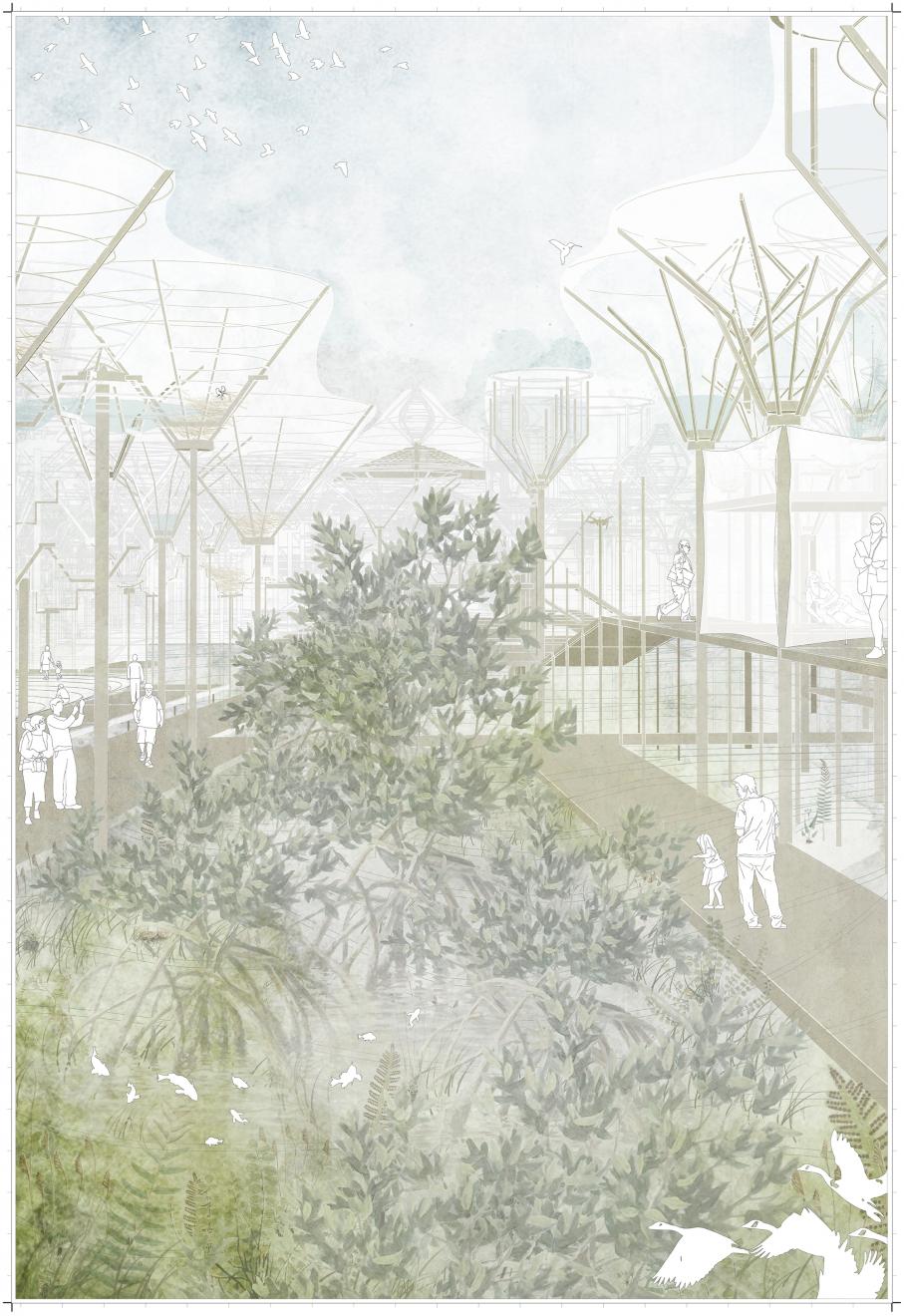 DAB Student Project: Reh-zophora, by Melinda Barbagallo & Francesca Capicchioni
