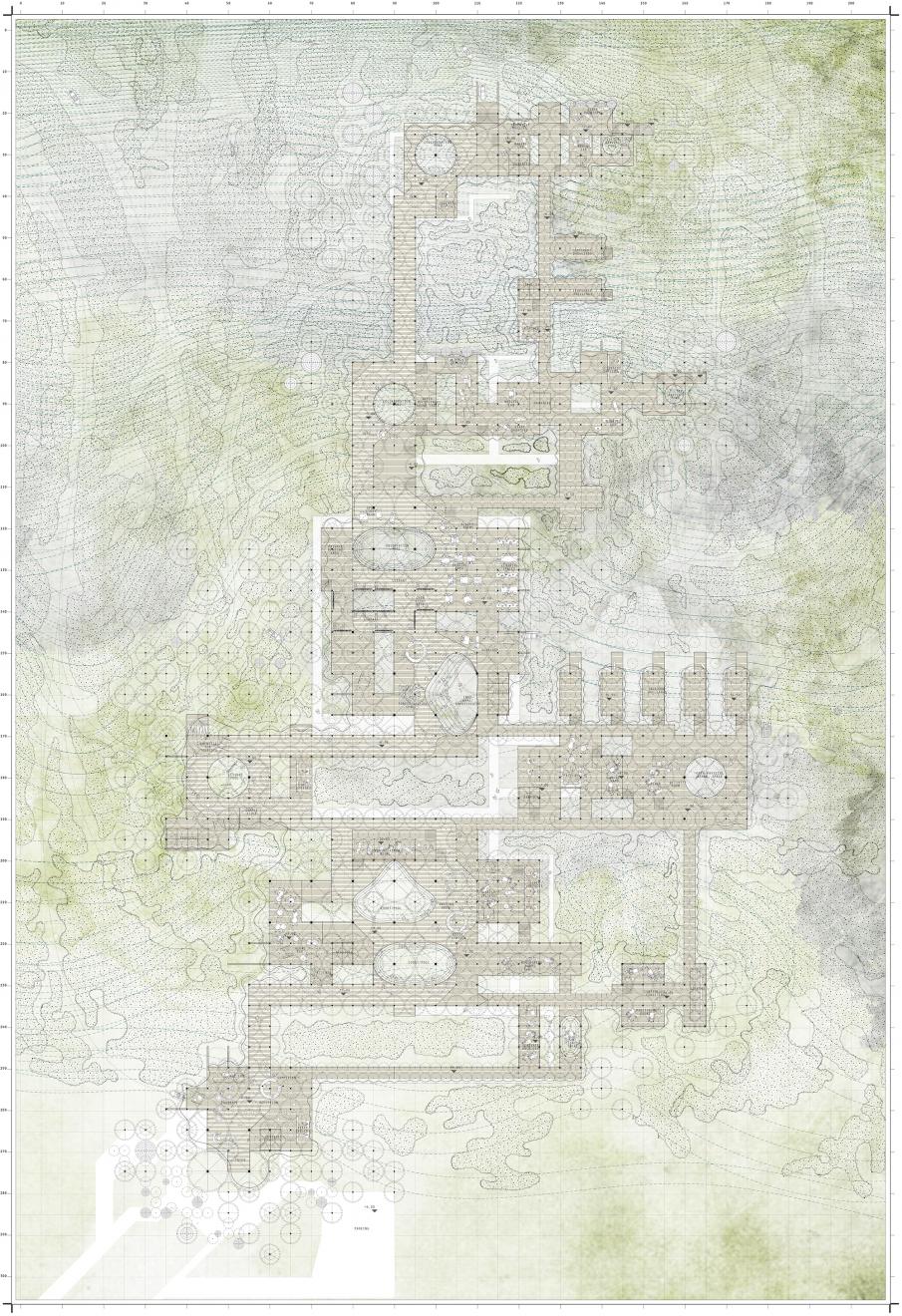 DAB Student Project: Reh-zophora, by Melinda Barbagallo & Francesca Capicchioni