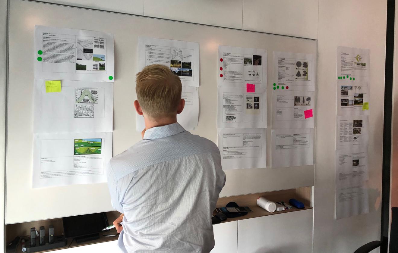 Looking at print outs on a white board