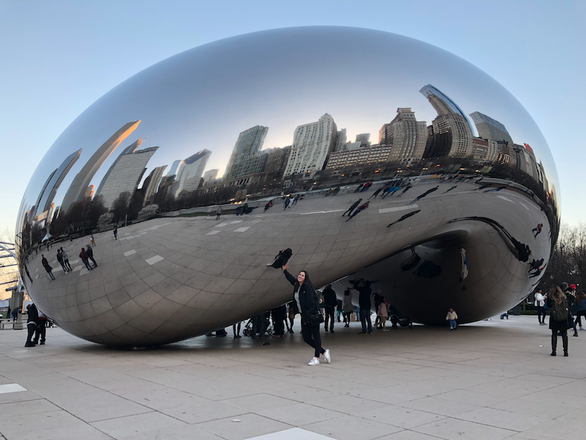 Sahara in front of Cloud Gate sculpture in Chicago