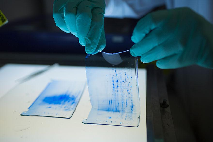 Development of gels for protein analysis