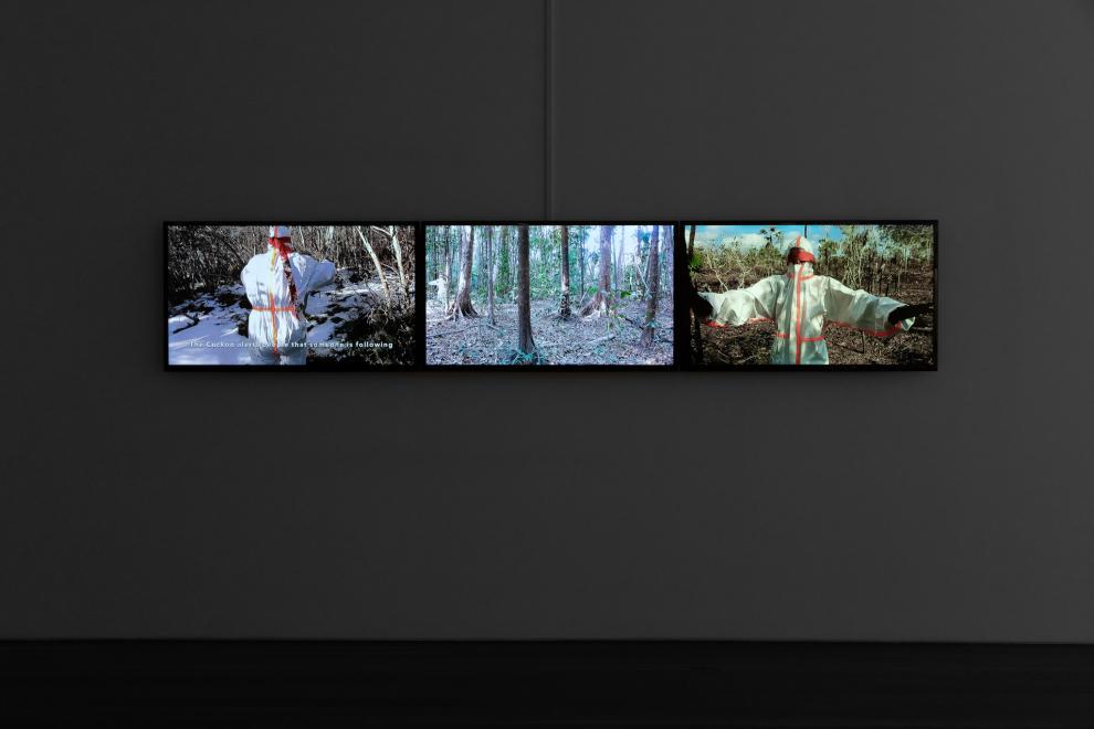 Installation view, SCA Gallery