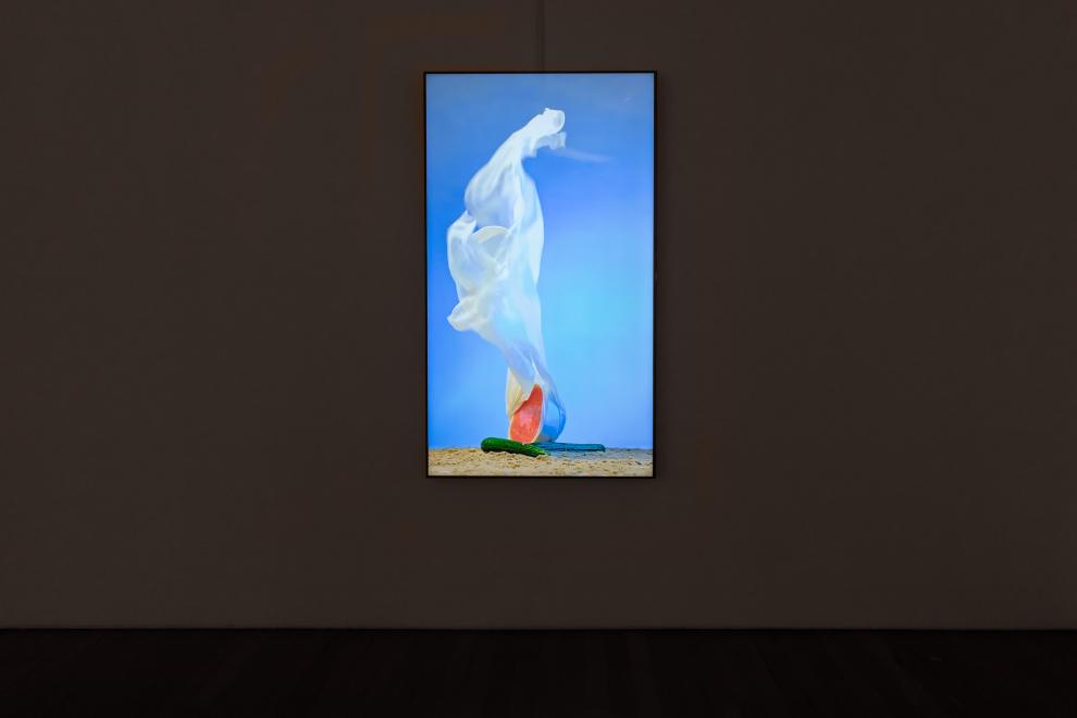 Installation view, SCA Gallery